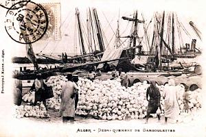 ALGER - DEBARQUEMENT DE GARGOULETTES